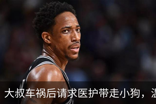 大叔车祸后请求医护带走小狗，温暖人心的陪伴之情